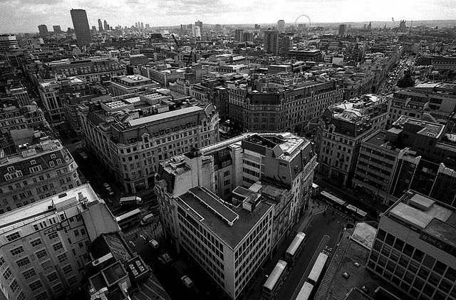 Photo by Daniel Gorecki.